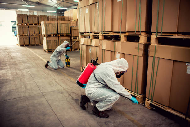 Best Termite Control Services  in Skidaway Island, GA