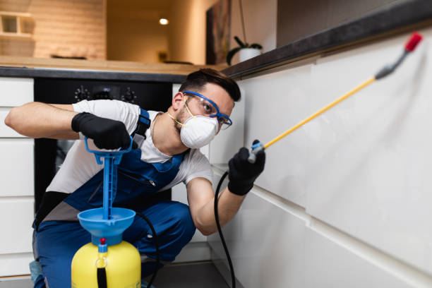 Best Bed Bug Extermination  in Skidaway Island, GA