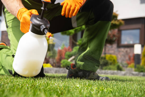 Best Affordable Pest Control Services  in Skidaway Island, GA