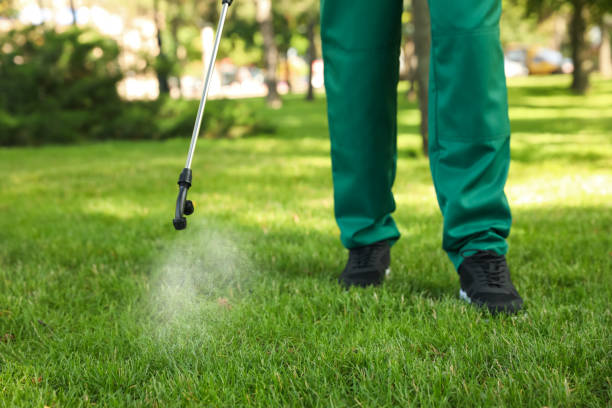 Best Emergency Pest Control  in Skidaway Island, GA