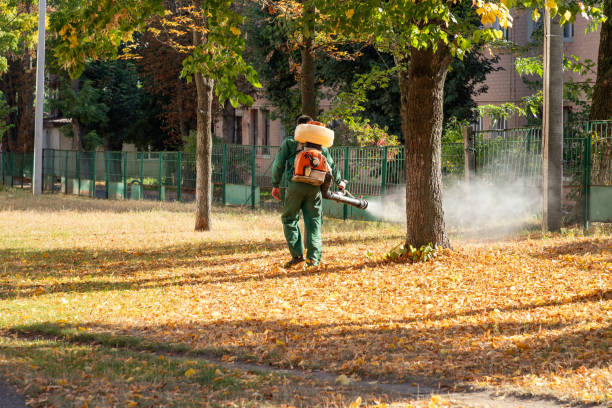 Best Flea Control Services  in Skidaway Island, GA
