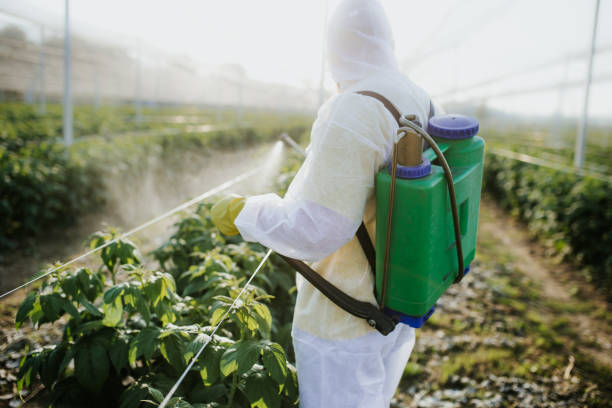 Best Best Pest Control Companies  in Skidaway Island, GA